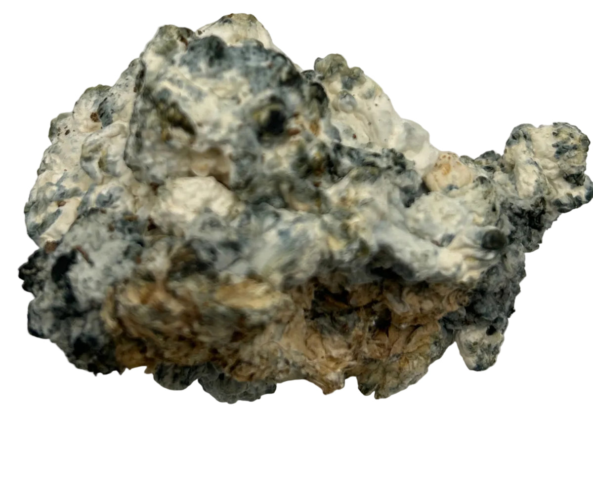 Enigma “Shockwave”