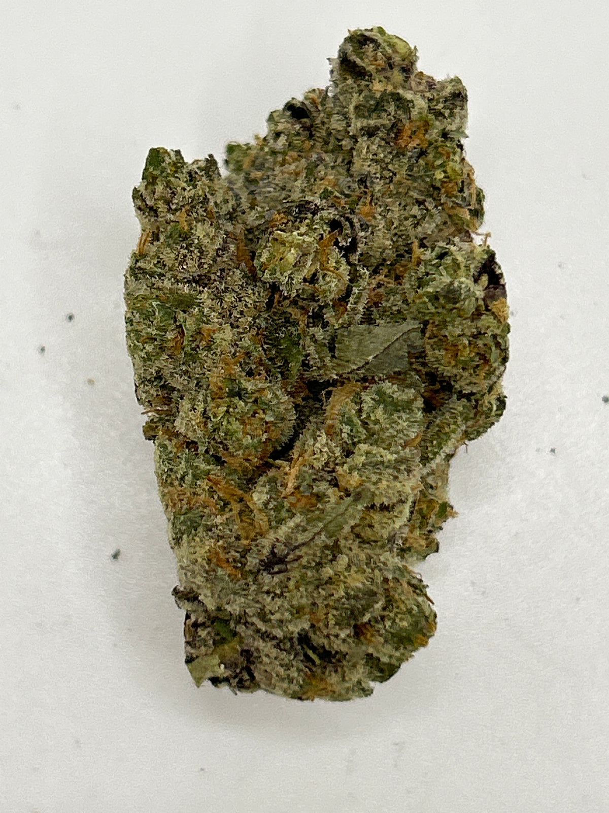 Apple Fritter