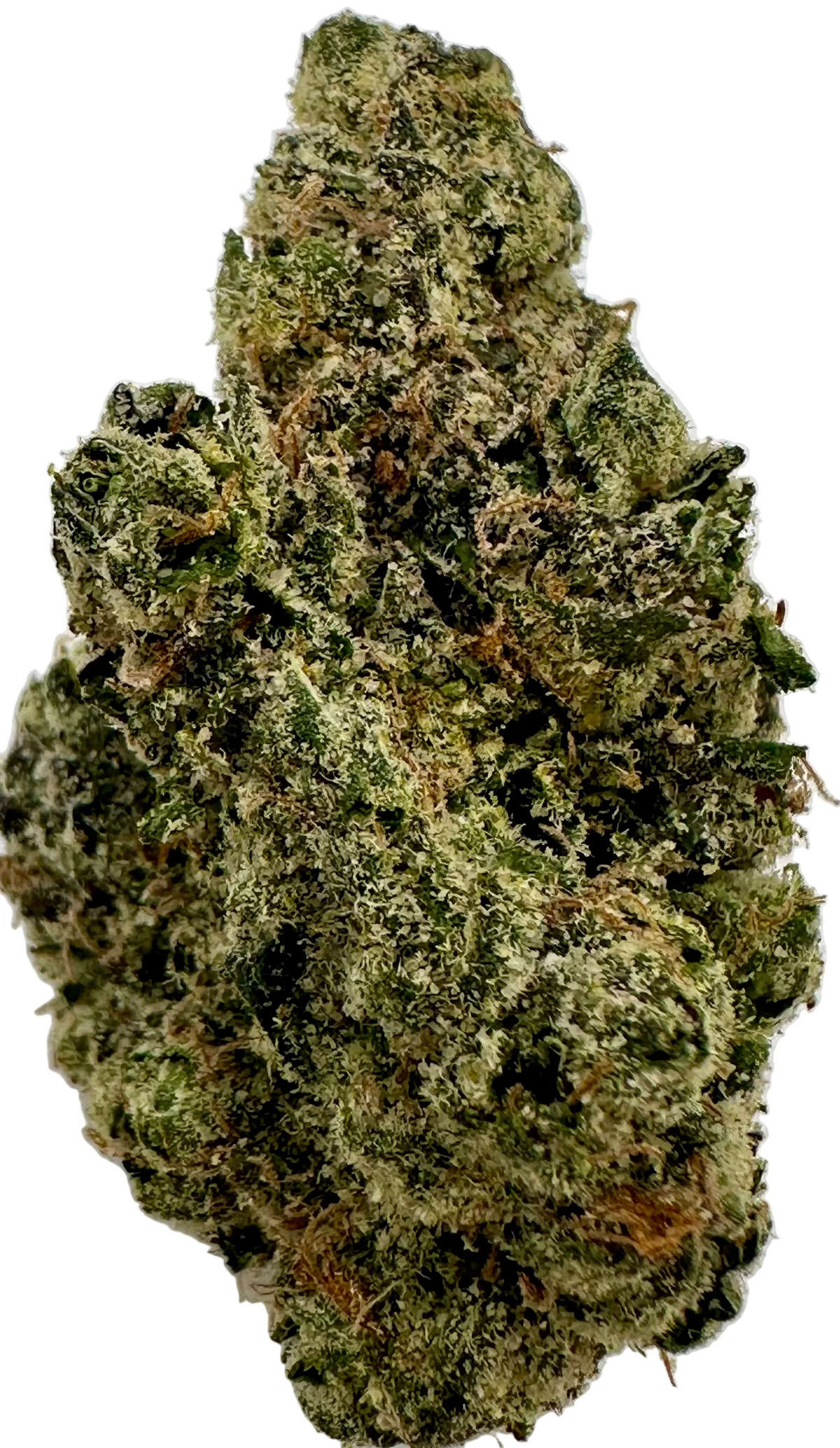 Cherry Crush (Hybrid/50-50)