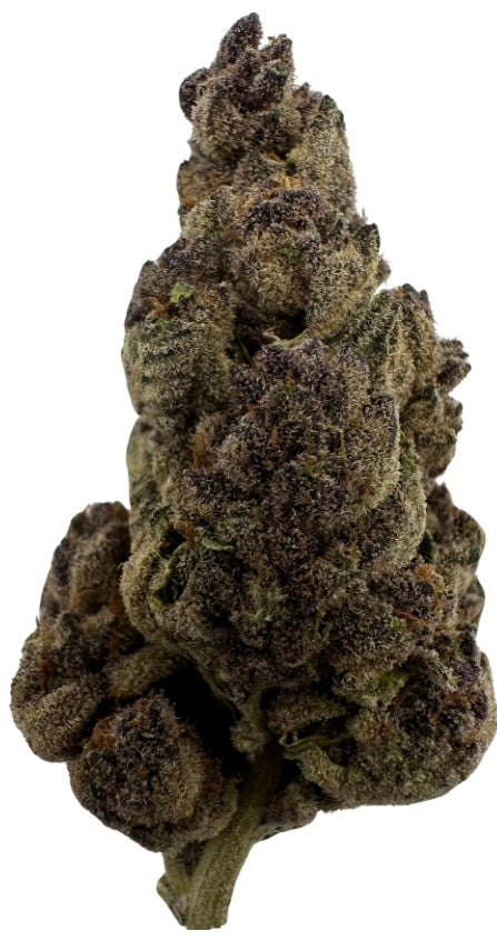 Sunkissed (Hybrid/Sativa)