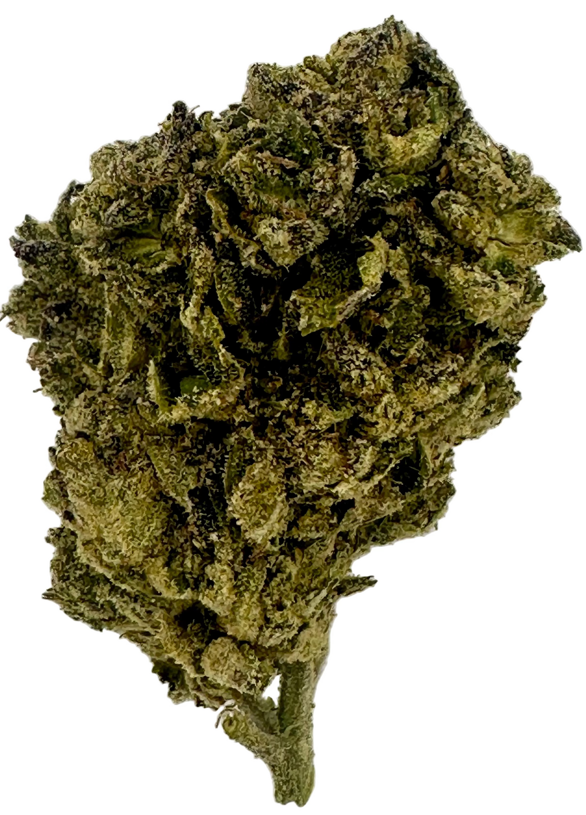 Jealousy (Hybrid/Indica)