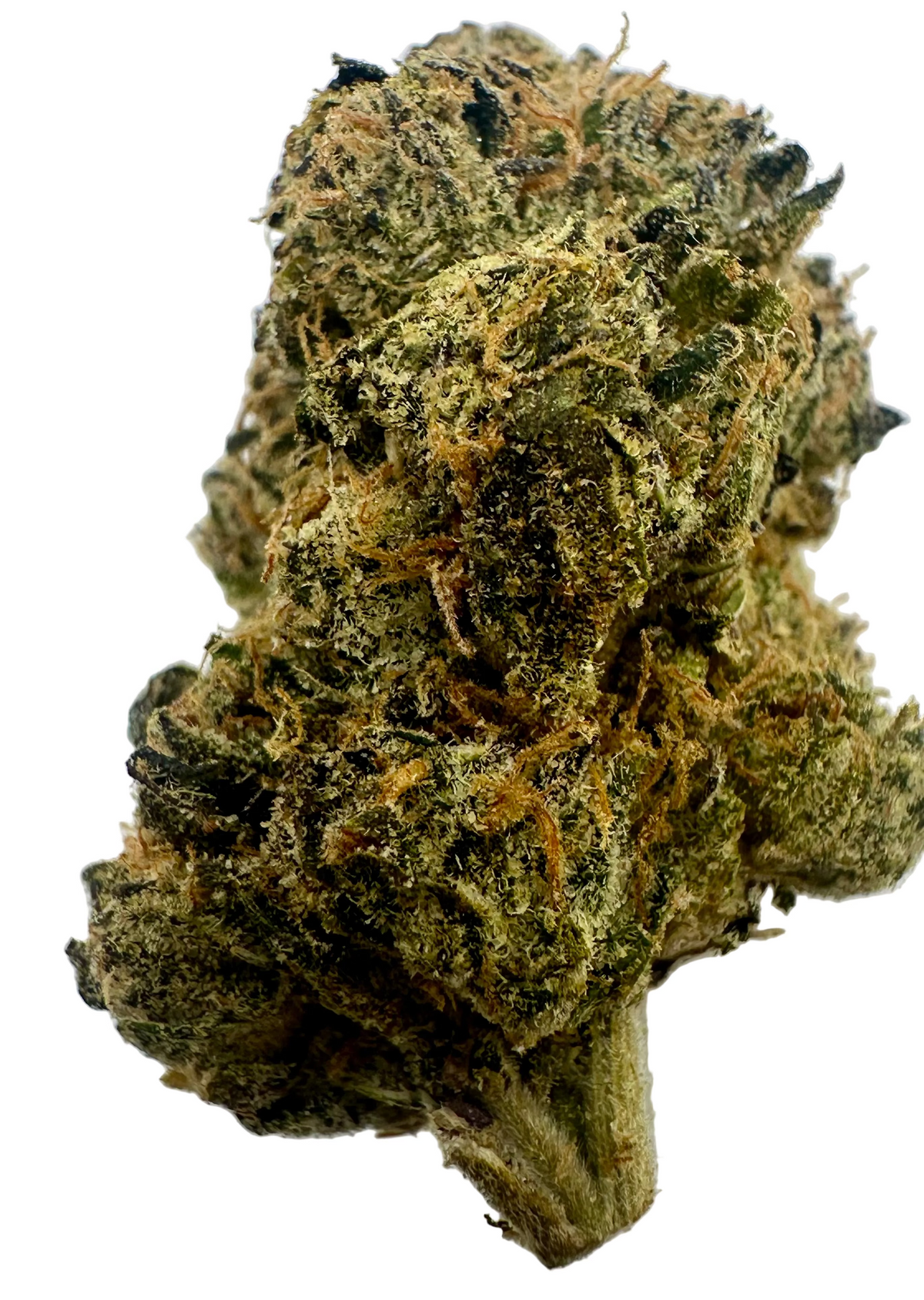 Pink Nerdz (Hybrid/50-50)
