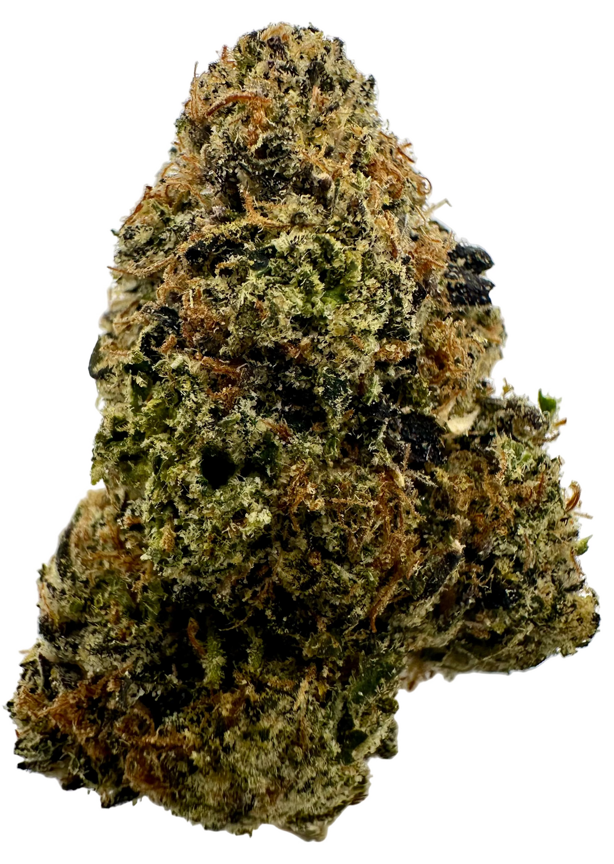 Rainbow Belts (Hybrid/Indica)