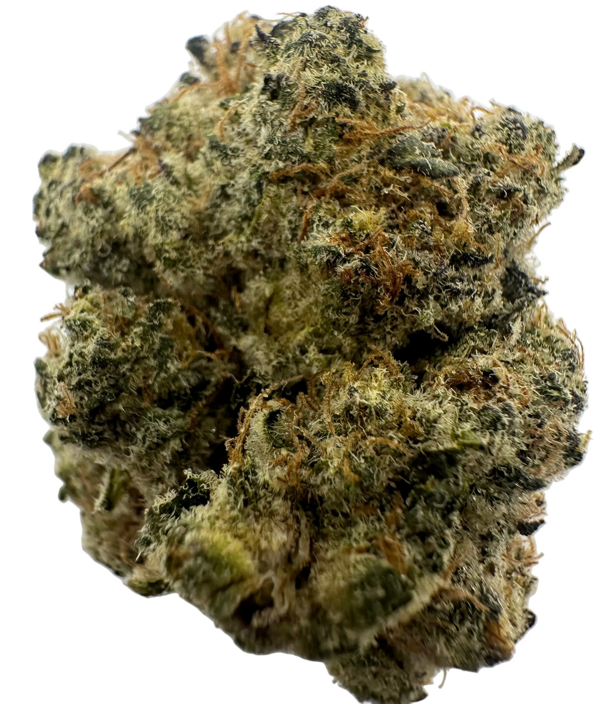 Bananaconda (Hybrid/Indica)