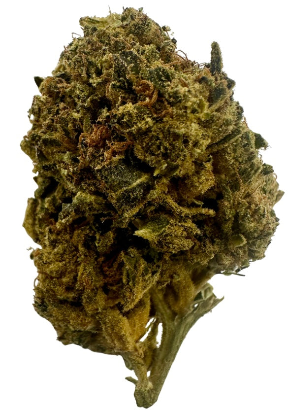 Gary Payton (Hybrid/Indica)