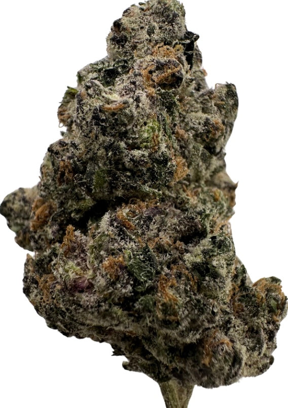 Pink Starburst (Hybrid)