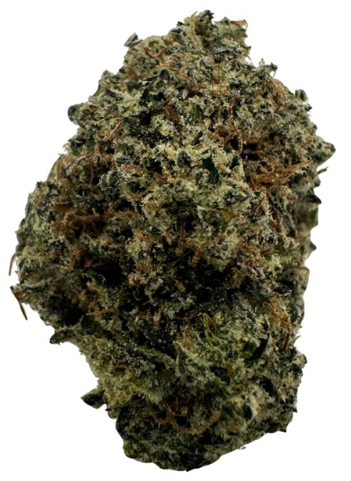 Mochilato (Hybrid/Indica)