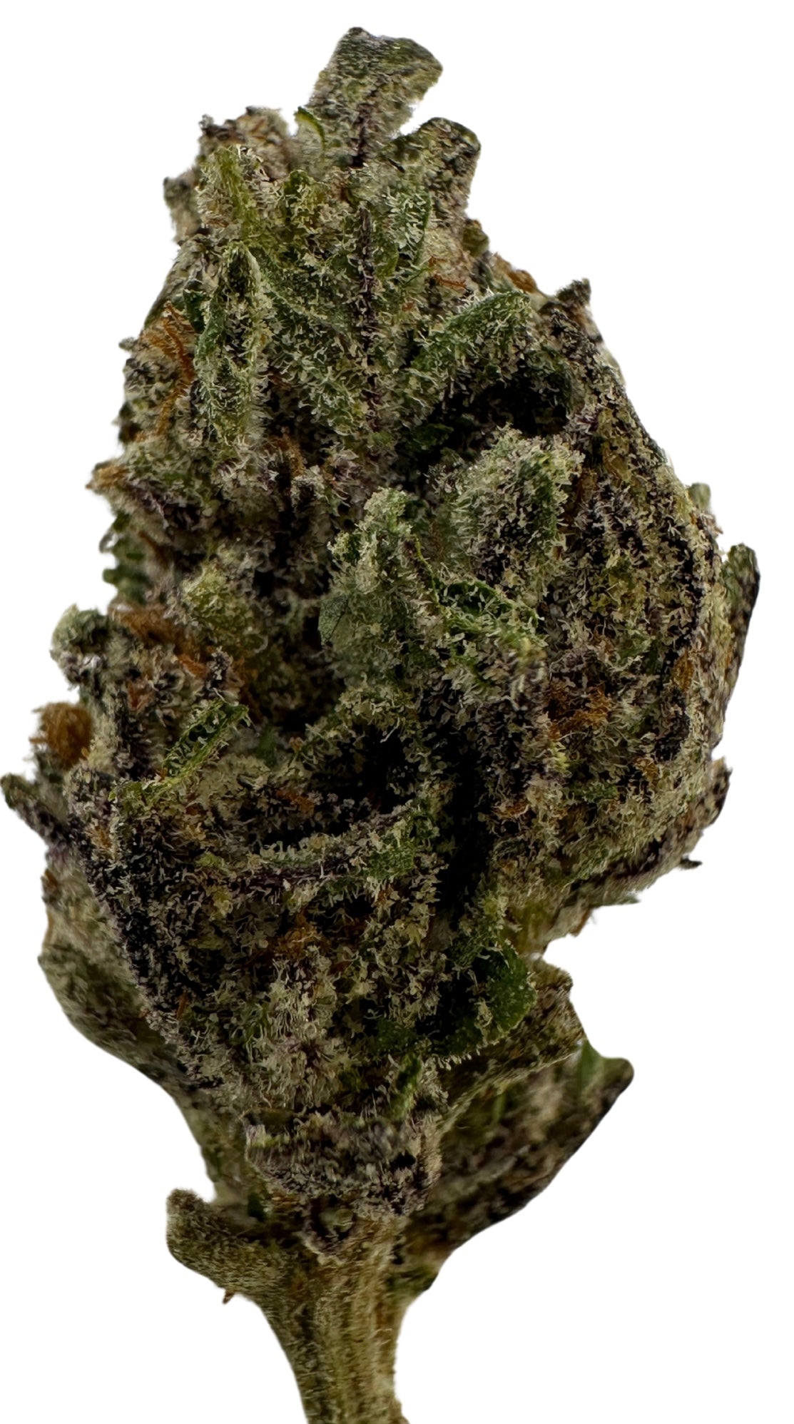 Hendrix (Hybrid/Sativa)