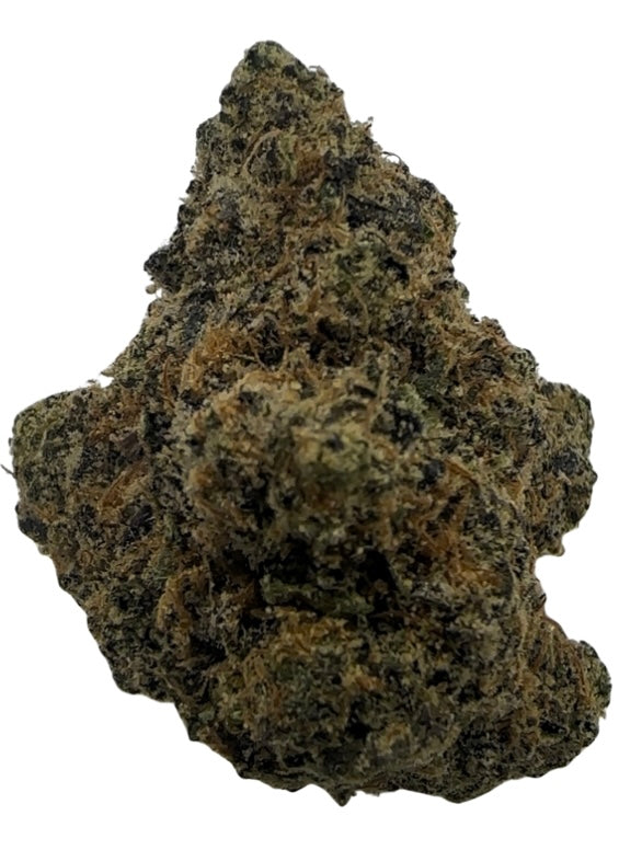 Lemon Plum(Hybrid/50-50)