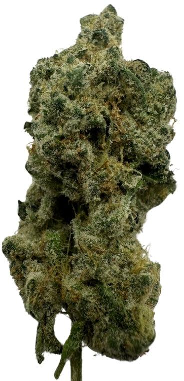 Garlic Split (Hybrid/Indica)