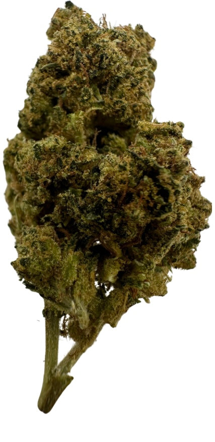 Jelly Donut (Hybrid/Indica)