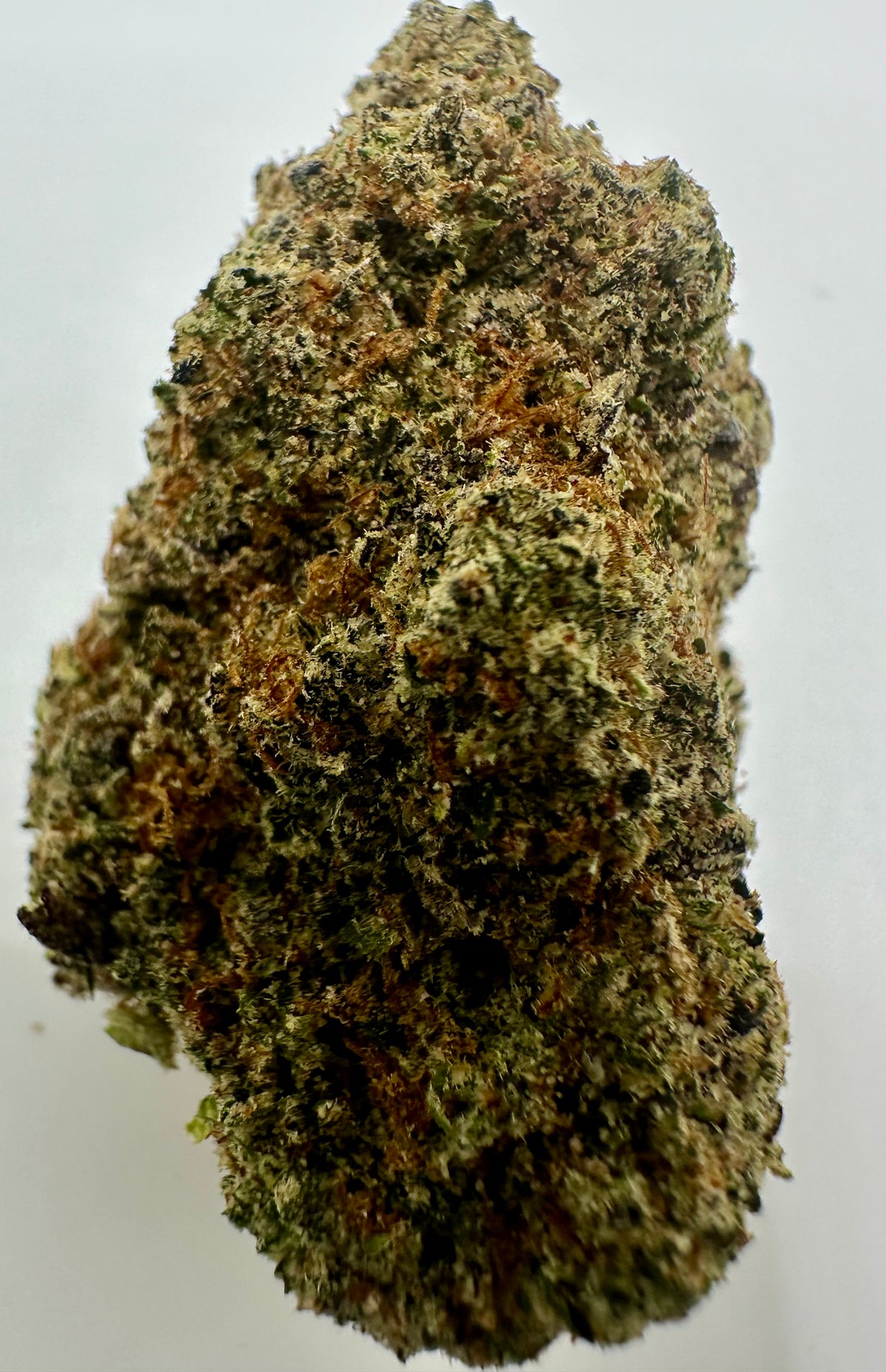 Rainbow Zkittles (Hybrid/Sativa)