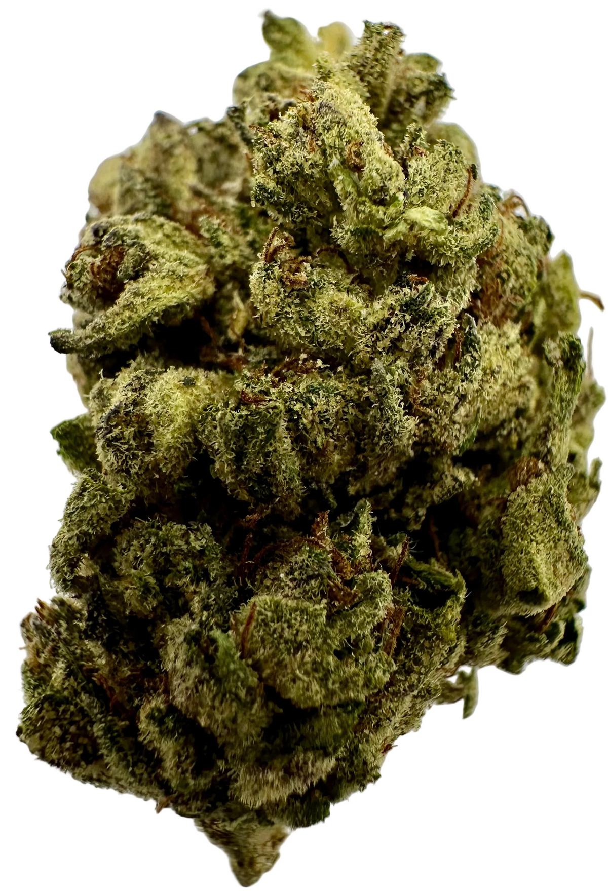 Piñata Candy (Hybrid/Indica)