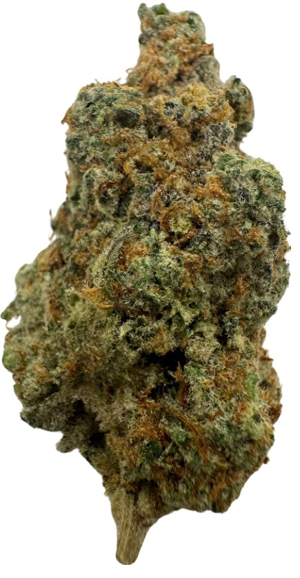 ODO(Hybrid/50-50)