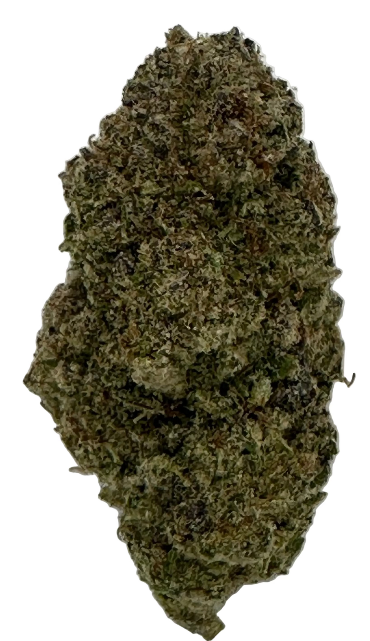 Crème Dulce(Hybrid/Indica)