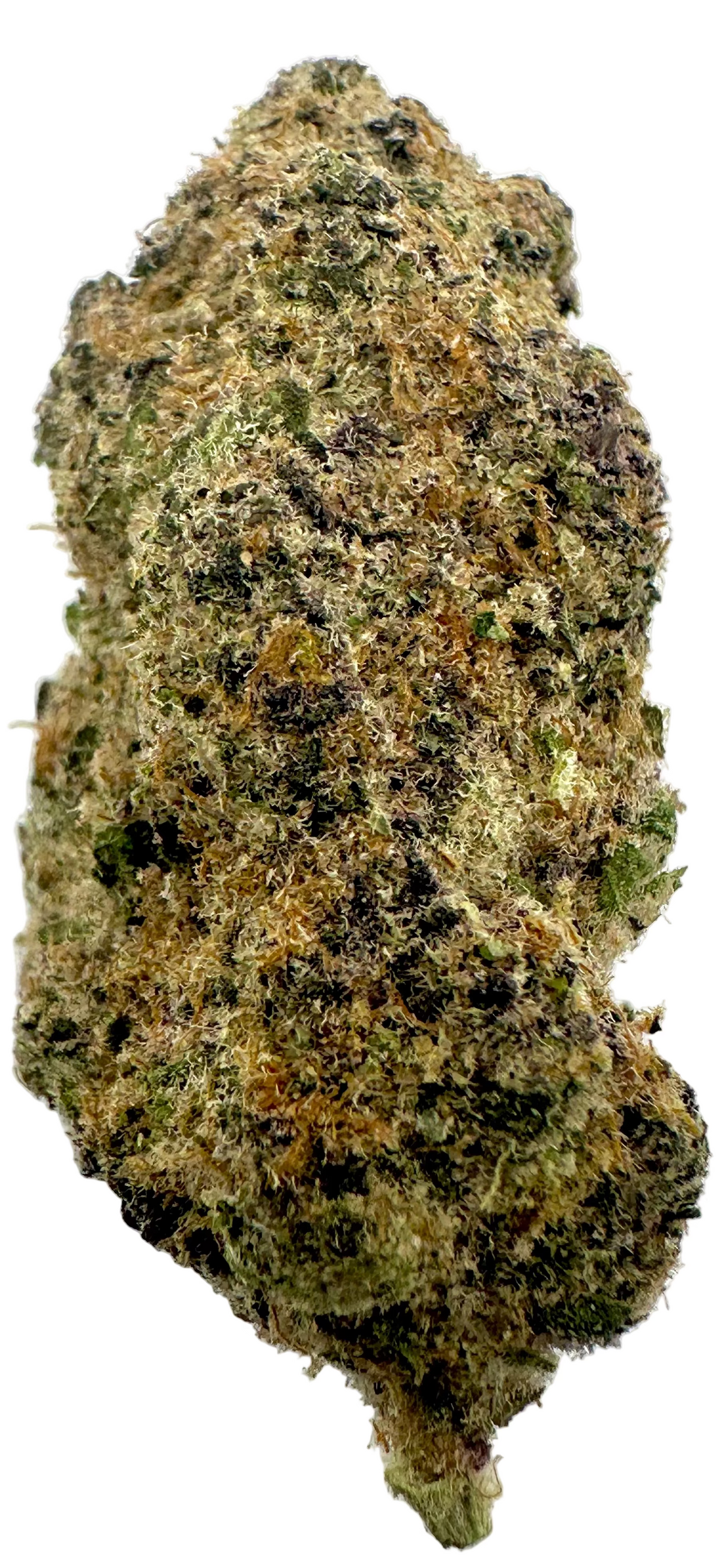 Super Boof (Hybrid/50-50)