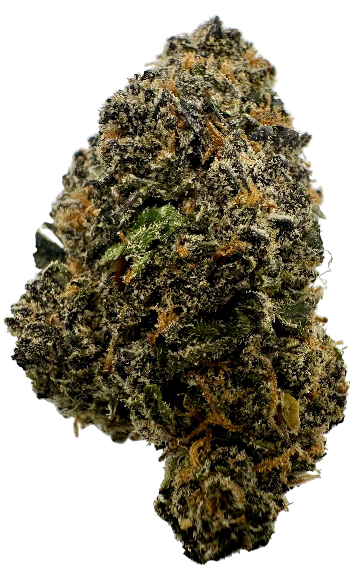 Gumbo  (Hybrid/ Indica)
