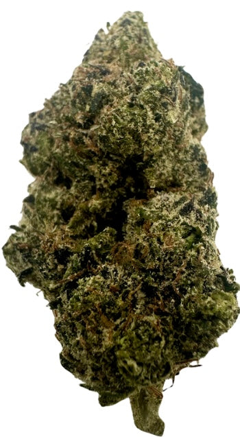 Cherry Nova (Hybrid/Indica)