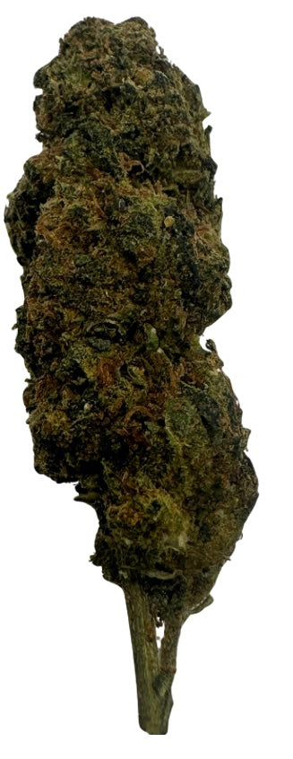 Gassy Taffy (Hybrid/Sativa)