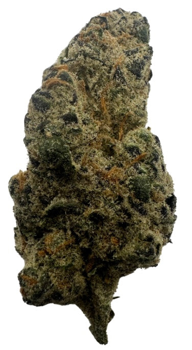 OB Wan Kenobi(Hybrid/Indica)