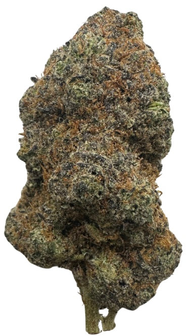 Jessica Rabbit (Hybrid/Indica)