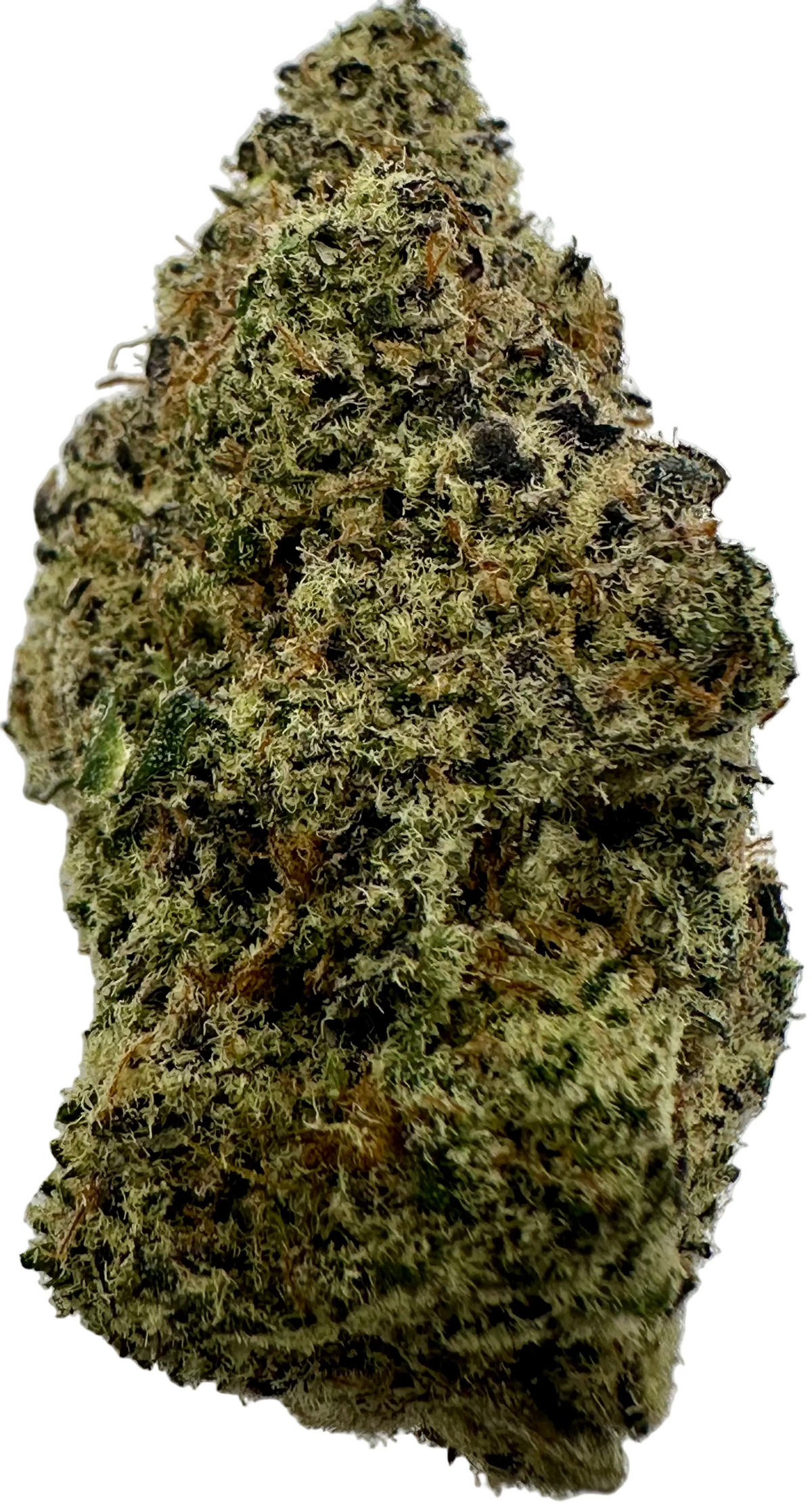 Blueberry Sugar (Hybrid/Indica)