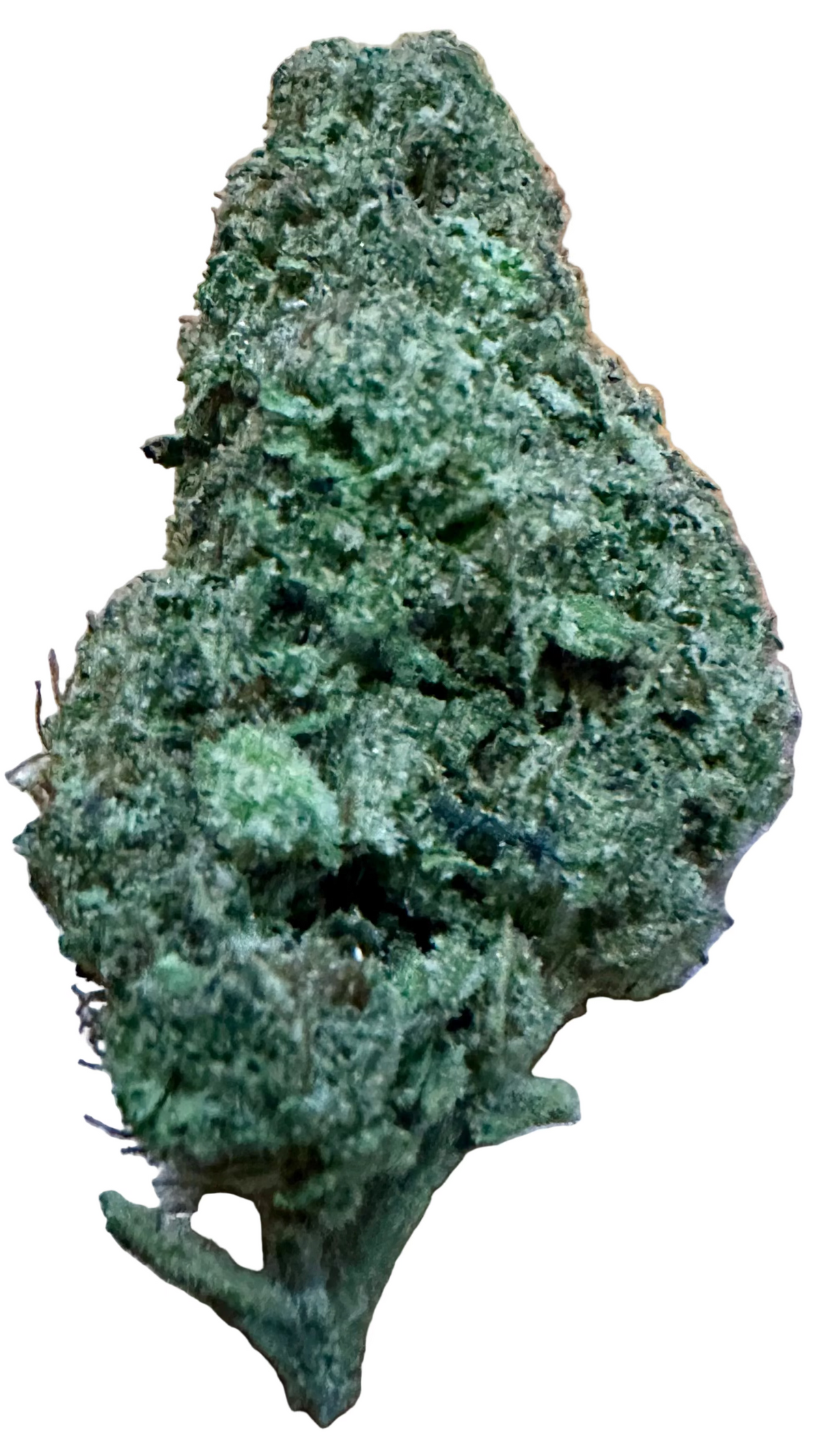 Crème Dulce(Hybrid/Indica)