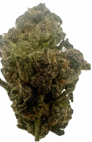 Candy Float (Hybrid/50-50)