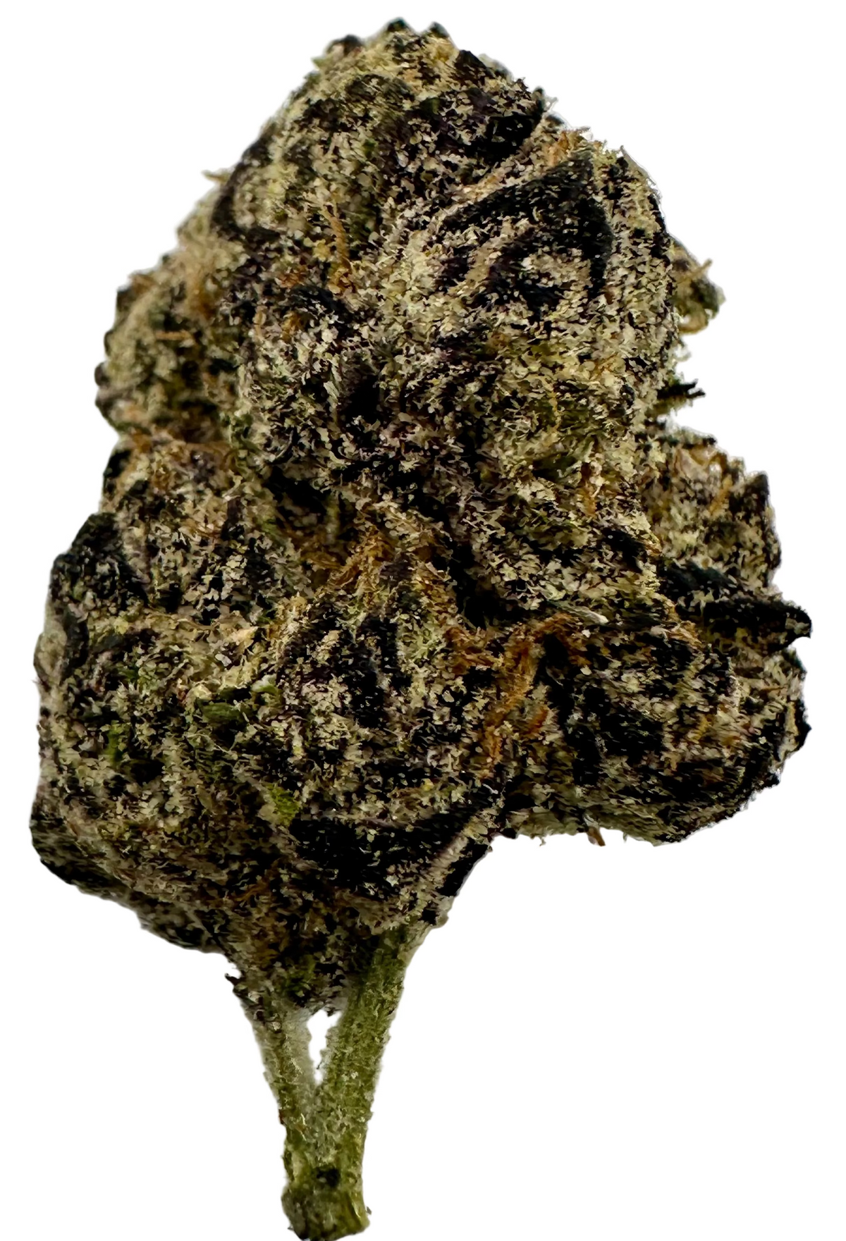 Grape Gelato (Hybrid/Indica)