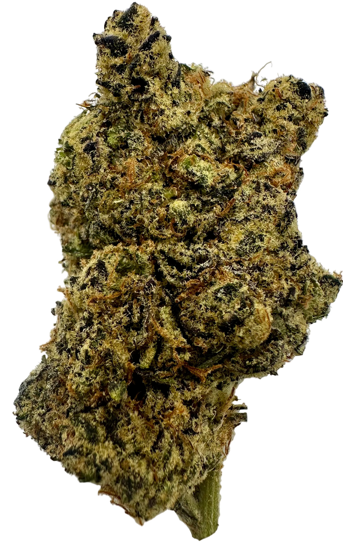 Blueberry Space Cake