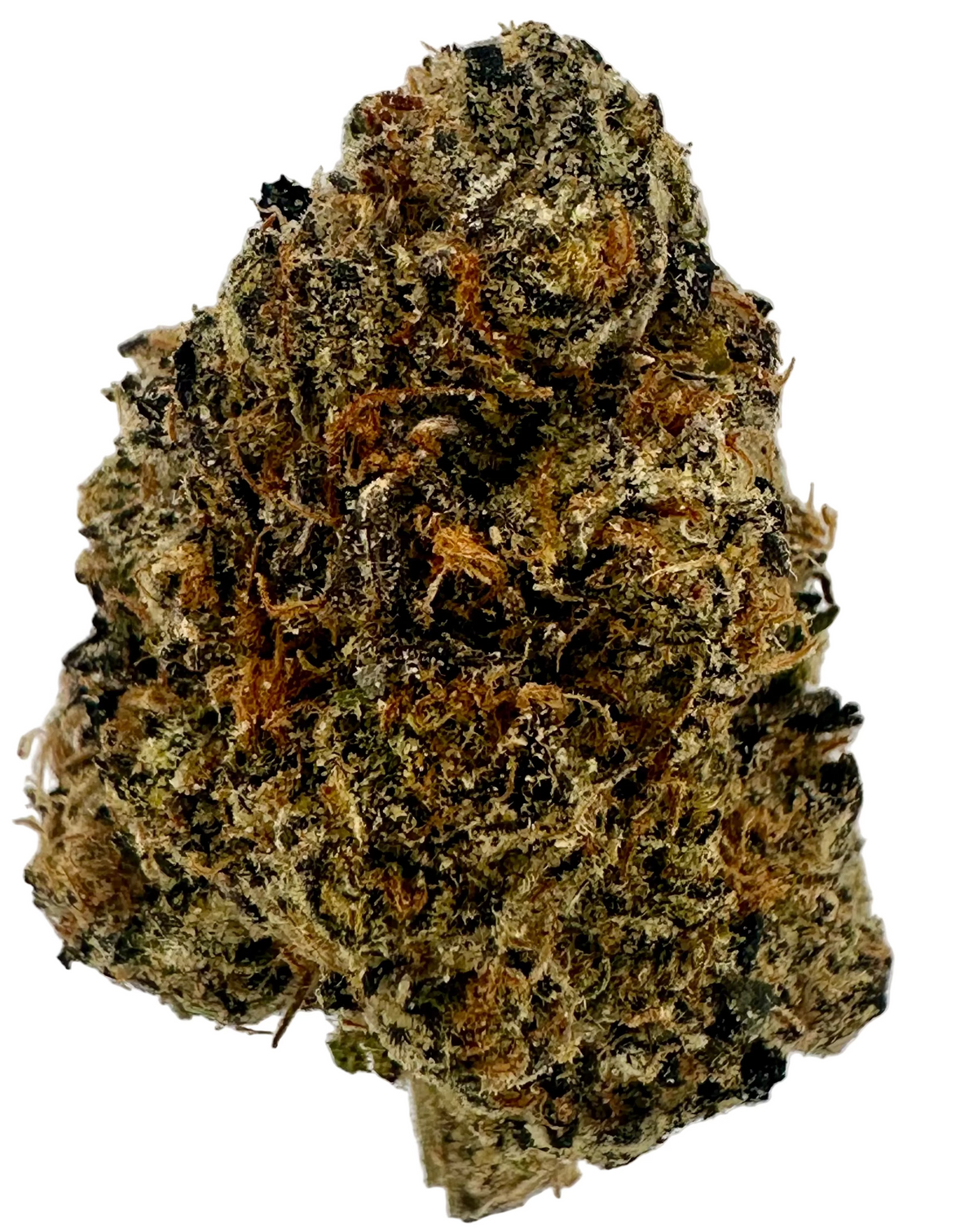 Cherry Hi-C (Hybrid/Indica)
