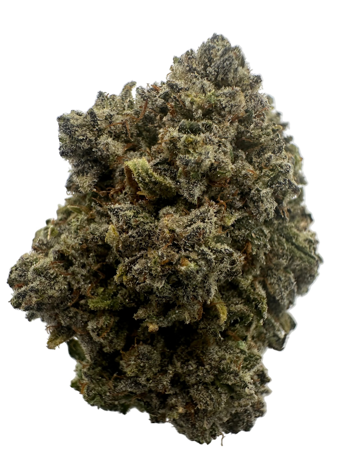 Gelonade (Hybrid/50-50)