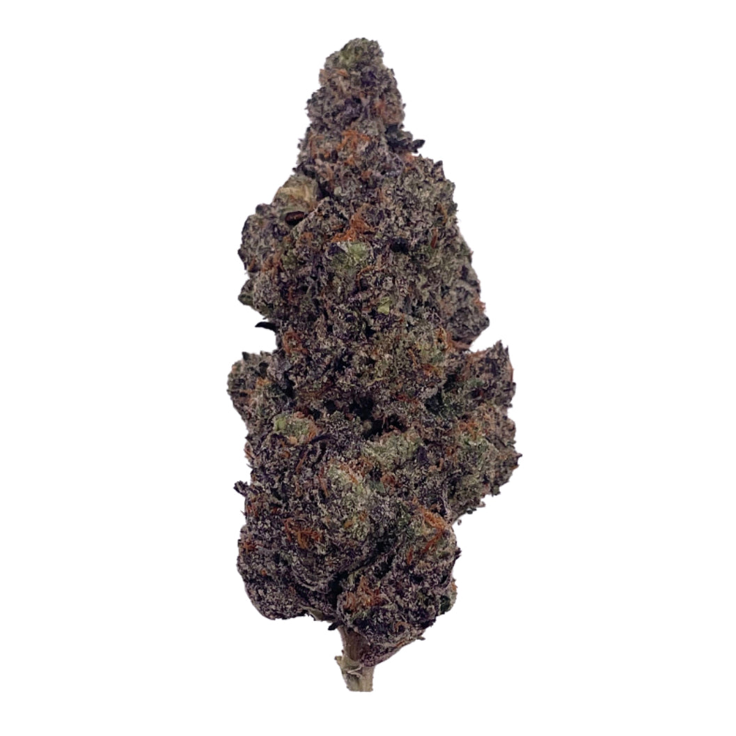 Gelato : Hybrid